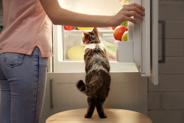 15 продуктов, которые не надо хранить в холодильнике