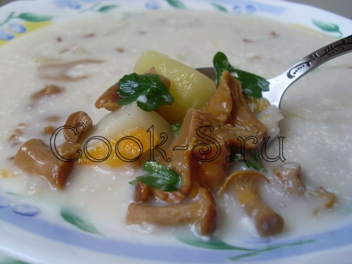 суп из лисичек со сметаной