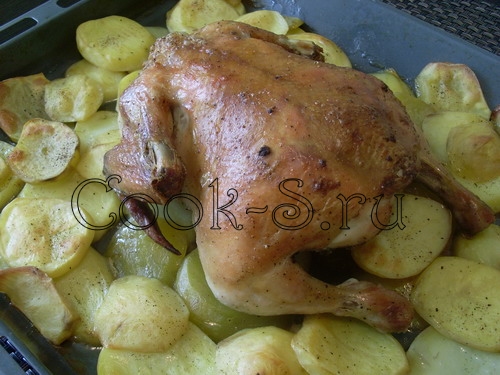курица с картошкой в духовке 