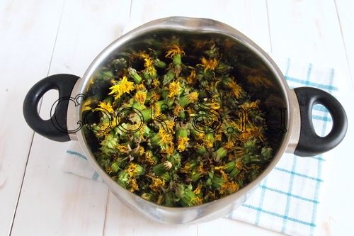 Одуванчик лекарственный применение цветков рецепты приготовления с фото пошагово в домашних