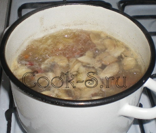грибной суп из шампиньонов - шампиньоны