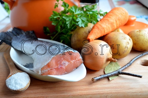 Как приготовить уху из лосося в домашних условиях фото пошагово